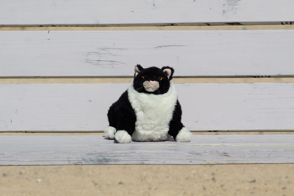 Où trouver la peluche animal de la ferme qui vous fera craquer ?