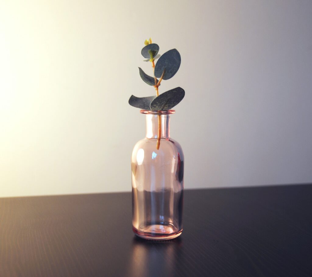 Comment choisir le bon vase en verre pour votre décoration ?
